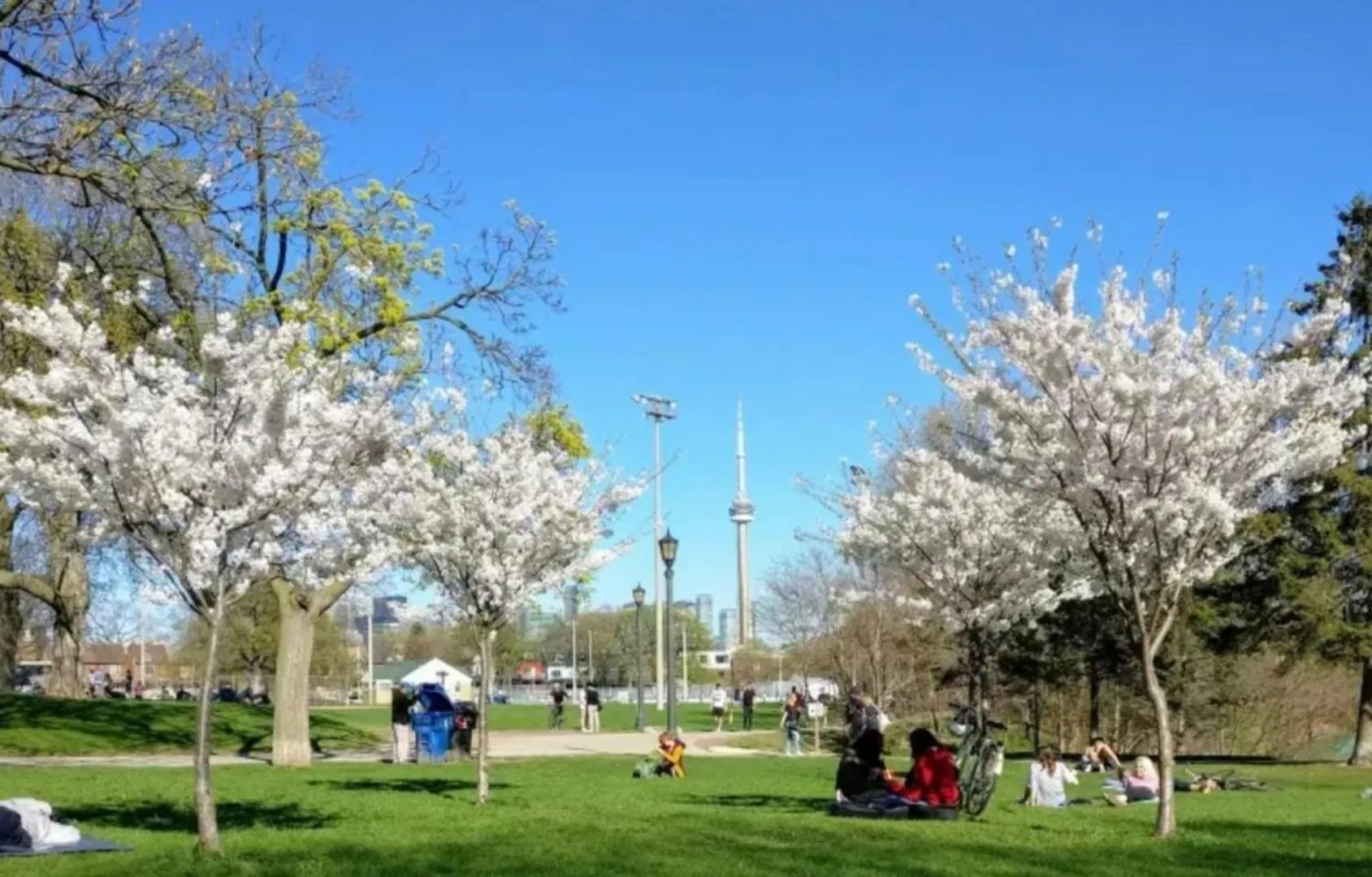 Central Downtown Toronto - Trinity Bellwood Park Canada